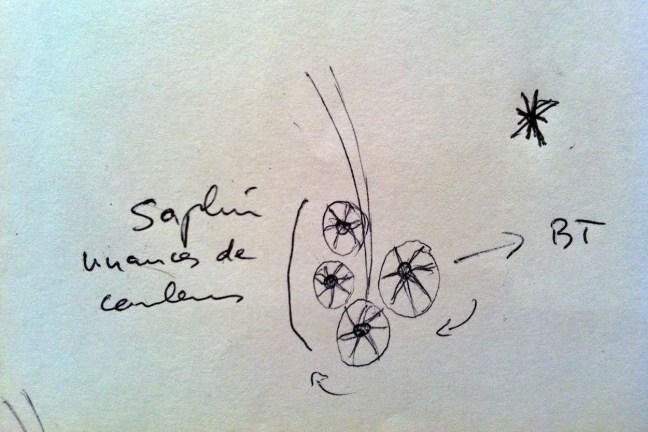 Le Temps Suspendu esquisse